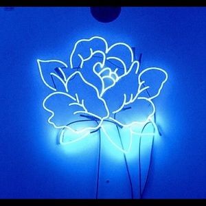 Meet your Posher, Noah